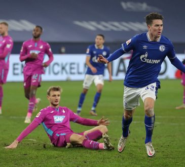 Schalke Hoffenheim Bundesliga