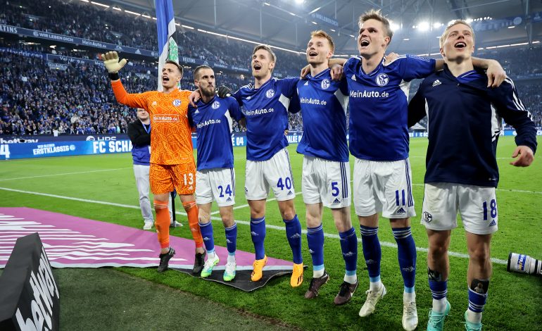 Schalke Zahlen